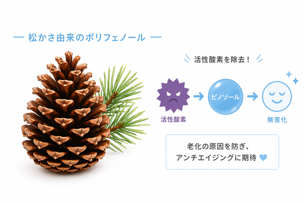 ピノソール